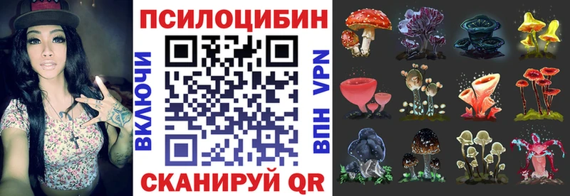 Галлюциногенные грибы мицелий купить наркотик гидра как зайти Черногорск