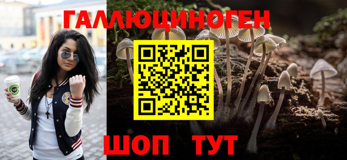 Черногорск  Галлюциногенные грибы Cubensis  Вход с VPN 
